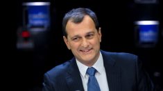 Perpignan : Louis Aliot (RN) rouvre quatre musées malgré l’interdiction