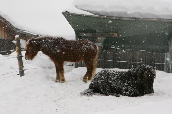 Illustration (THOMAS COEX/AFP via Getty Images)