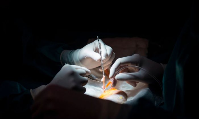 Les médecins se préparent à une greffe de rein sur une photo de dossier. (PIERRE-PHILIPPE MARCOU/AFP/Getty Images)