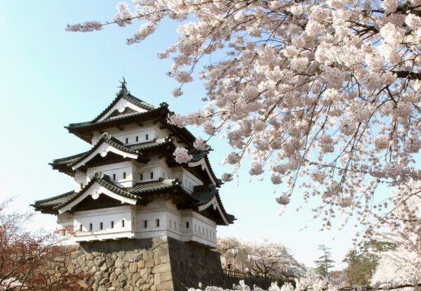 Chaque printemps, des centaines de personnes affluent vers le magnifique château d'Hirosaki pour participer au festival des cerisiers en fleurs. (Koichi Kamoshida / Getty Images)