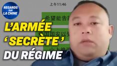 Focus sur la Chine – L’armée des 50 centimes exposée