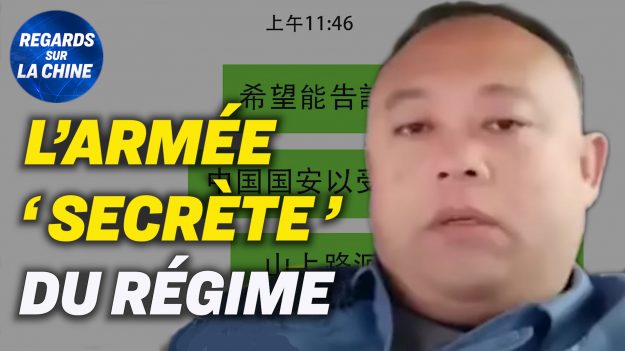 Focus sur la Chine – L’armée des 50 centimes exposée