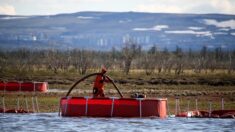 La Russie veut envoyer ses détenus pour dépolluer l’Arctique