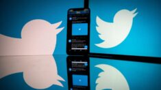 La Russie donne un mois à Twitter pour supprimer les contenus de pornographie infantile