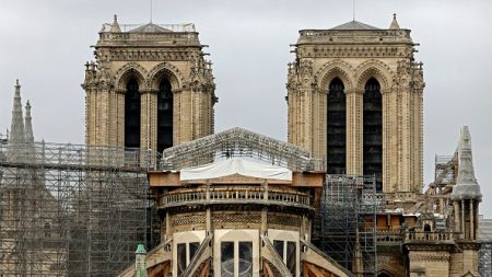 Touraine : des propriétaires forestiers font don de chênes de la forêt d’Amboise pour la réalisation de la charpente de Notre-Dame de Paris