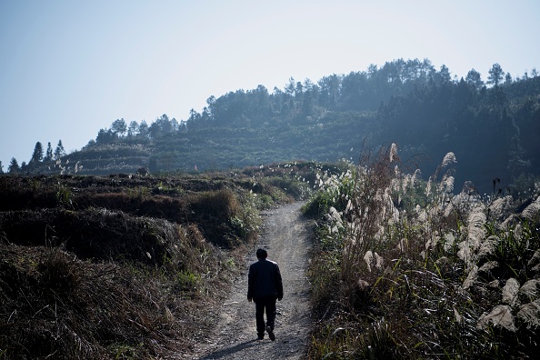 - L’agriculteur Liu Qingyou marche vers son verger d'orangers, au centre de la Chine. Photo de Noel Celis / AFP via Getty Images.