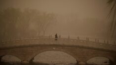 Tempête de sable et pollution: cocktail suffocant à Pékin