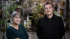 Anne Lacaton et Jean-Philippe Vassal, architectes du bien-être bon marché, lauréats du Pritzker