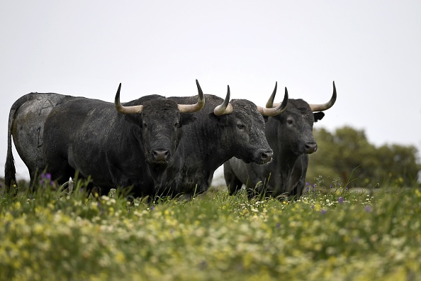    (Photo : GABRIEL BOUYS/AFP via Getty Images)