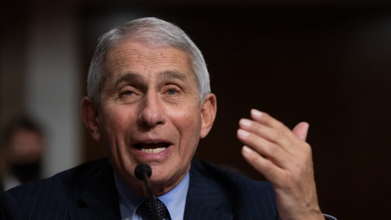 Le Dr Anthony Fauci s'exprime devant le Congrès à Washington, le 23 septembre 2020. (Graeme Jennings/Pool/AFP via Getty Images)
