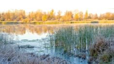 Ils font le pari de marcher 10 km tout droit et finissent frigorifiés dans une rivière