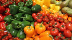 Seine-et-Marne : un distributeur de légumes frais installé au cœur du village de Bouleurs