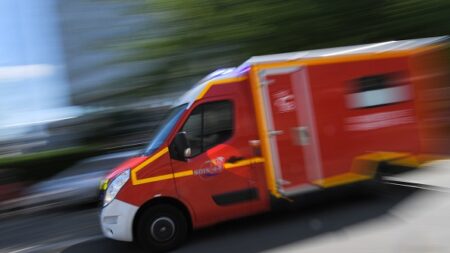 Gap : un chien abandonné sur un balcon depuis plusieurs jours est sauvé par les pompiers et les policiers