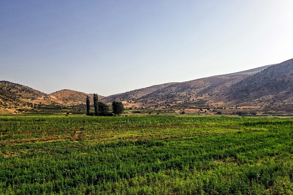 - Une vue aérienne des champs de cannabis dans le village de Yamouneh, le 29 juillet 2020. Photo de Joseph Eid / AFP via Getty Images.