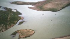 Dans le delta du fleuve Niger, un peuple de pêcheurs à la confluence des maux sahéliens