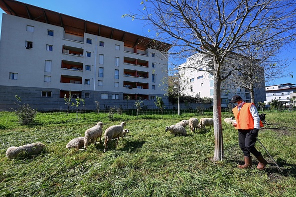 Illustration  (PASCAL GUYOT/AFP via Getty Images)