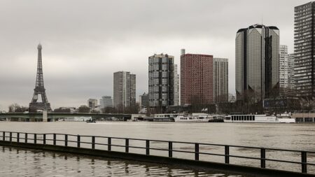 Le fils d’Anne Hidalgo a-t-il bénéficié d’un passe-droit pour s’entraîner dans la Seine ?