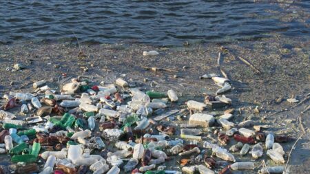 Paris : une marée de déchets accumulés sur le bassin de la Villette