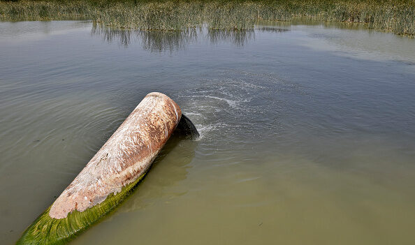 Dans les marais de Mésopotamie coulent… les égouts d’Irak