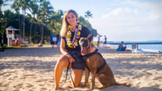 Un chien militaire mis à la retraite à la suite d’une blessure est adopté par une éducatrice des Marines pour vivre ses prochains jours dans le bonheur