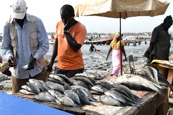 -Des poissons sont mis en vente sur un stand à la plage de Hann, Dakar, le 22 juillet 2019. Photo de Seyllou /AFP via Getty Images.