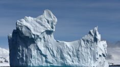 Les Maoris, premiers explorateurs de l’Antarctique (étude)