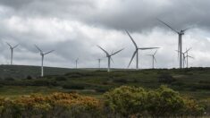 « Arrêtons de nous prendre pour des cons » : un conseiller municipal dévoile comment un industriel a tenté de l’« acheter » pour implanter des éoliennes