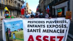 Cancer, Parkinson, troubles neurologiques… Un lien « fort » établi entre pesticides et six maladies