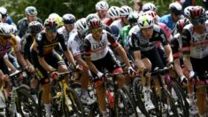 Le Tour de France porte plainte contre la spectatrice qui a fait chuter le peloton avec sa pancarte