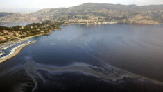 France: pollution maritime au large de la Corse, plan de protection activé