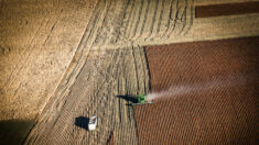 Un juge américain interrompt un programme d’allègement de la dette pour les agriculteurs de couleur et déclare qu’il est probablement inconstitutionnel