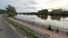 Mystère après que deux boas sont repêchés dans les eaux du Doubs près de Montbéliard