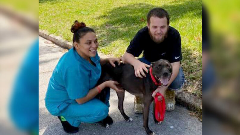 (Avec l'aimable autorisation de la Humane Society of Tampa Bay)