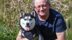 Un couple sacrifie l’achat d’une nouvelle cuisine pour sauver un husky sibérien du commerce de la viande en Chine