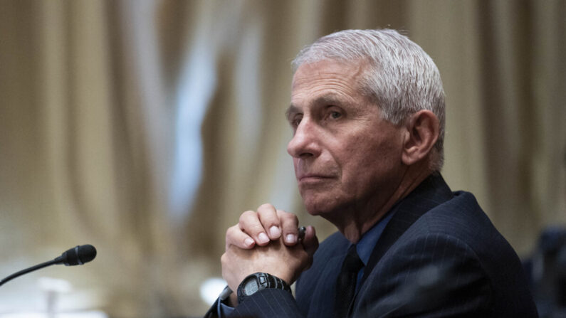 Anthony Fauci, directeur de l'Institut américain des allergies et des maladies infectieuses, au Capitole à Washington le 26 mai 2021 (Sarah Silbiger-Pool/Getty Images)