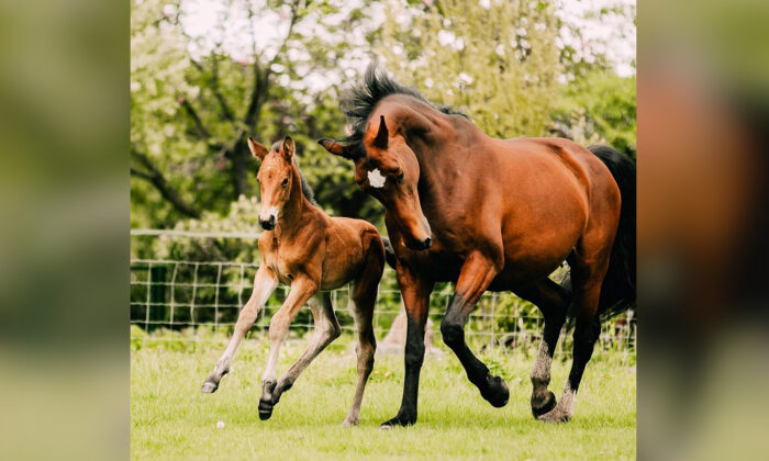 (Avec l'aimable autorisation  de Daily in Focus via equitality) 