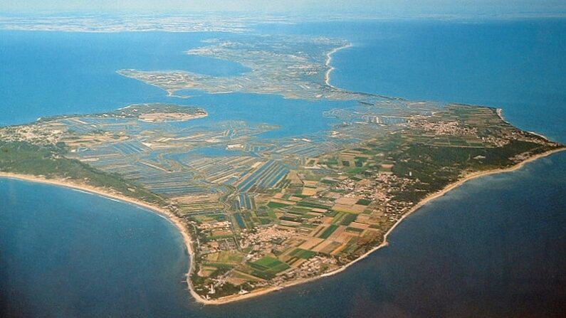 L'île de Ré, vue depuis le nord-ouest. Par Zassenhaus — Travail personnel, CC BY-SA 3.0, https://commons.wikimedia.org/w/index.php?curid=2996250