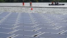 Singapour dévoile l’une des plus grandes centrales solaires flottantes au monde