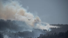 Espagne: l’incendie en Catalogne « stabilisé » (pompiers)