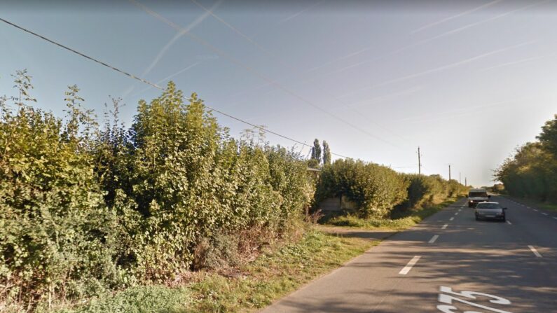 Les haies situées le long de la RD 675 sur la commune de Reux ont subi un élagage sévère en plein mois de juillet. (Capture d'écran/Google Maps)