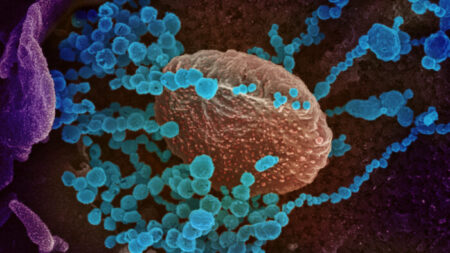 Les mutations « inhabituelles » du variant Lambda pourraient le rendre résistant aux vaccins