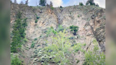 Pouvez-vous repérer le chien perdu piégé sur cette falaise montagneuse ?