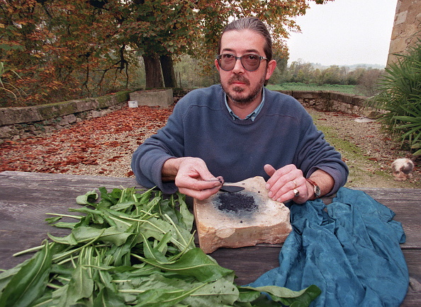 Le maître Pastellier Henry Lambert pose en 1998 devant des feuilles de pastel, une plante qui à la base était utilisée pour ses vertus médicinales. (JEAN-PIERRE MULLER/AFP via Getty Images)