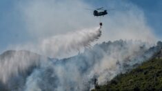 La Grèce brûle toujours, la Turquie aidée par la pluie