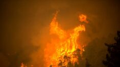 Violent feu sur la Côte d’Azur, des milliers de personnes évacuées