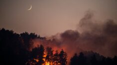 Incendies en Grèce : devant le chagrin d’un vieil homme, la journaliste qui l’interroge fond en larmes