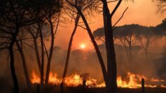 Incendie sur la Côte d’Azur : une personne décédée