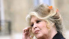 Voisins dérangés par le coassement des grenouilles: Brigitte Bardot conseille à «ces gros ploucs» de déménager