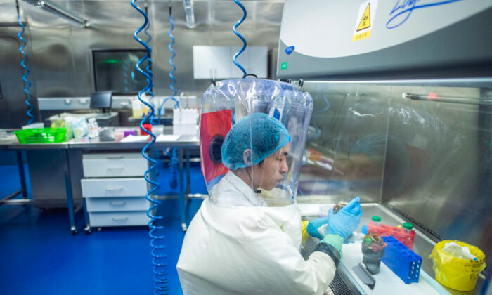 Une opératrice travaille à l'intérieur du laboratoire P4 à Wuhan, capitale de la province chinoise du Hubei, le 23 février 2017. (Johannes Eisele/AFP via Getty Images)