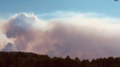 Incendie dans le Var : appel à témoins sur les circonstances du départ du feu